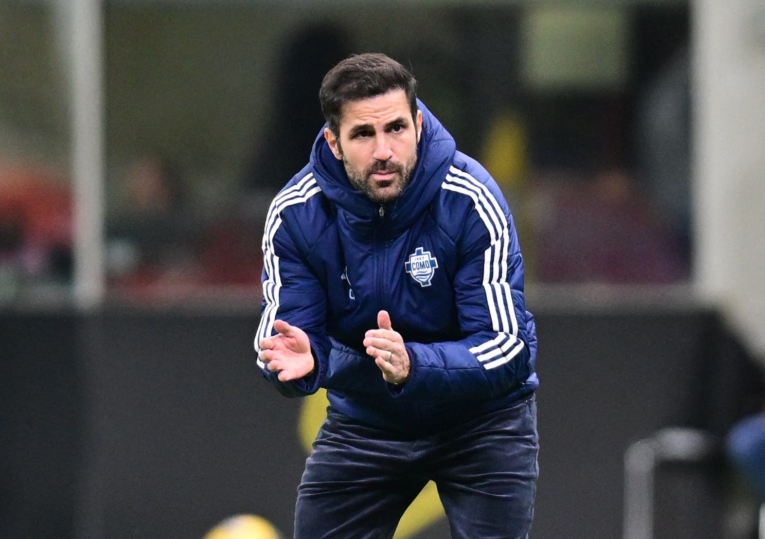 Cesc en la órbita del Betis