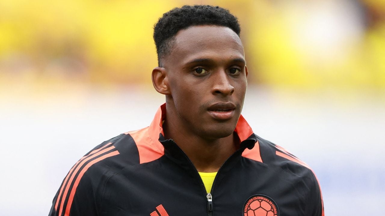 Lucumi, a cheap option for defense