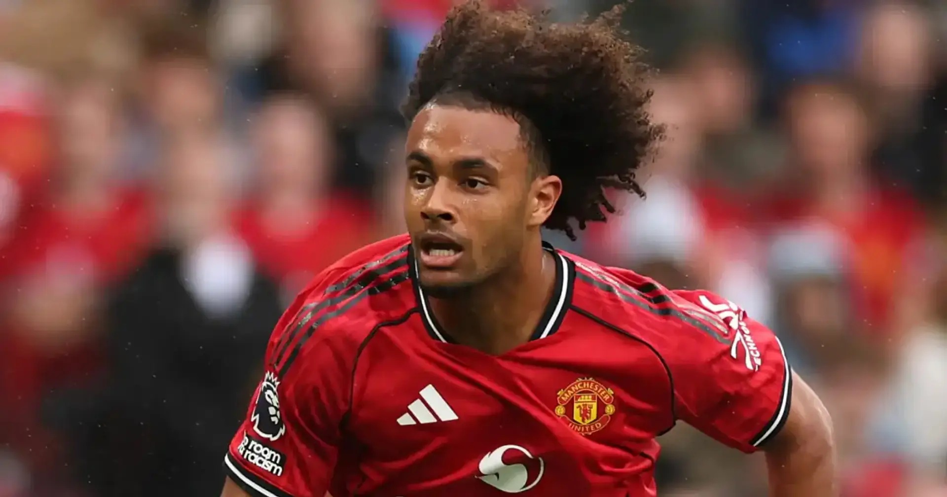 Sevilla prepara ofensiva por Joshua Zirkzee