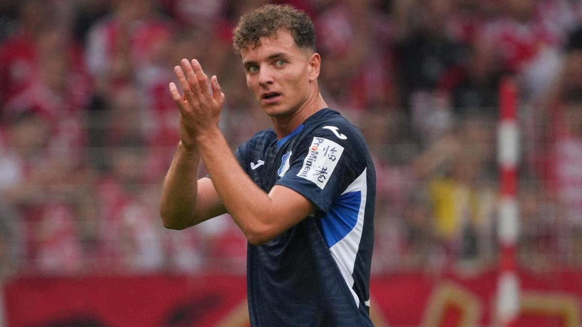 Fisnik Asllani, Hoffenheim player