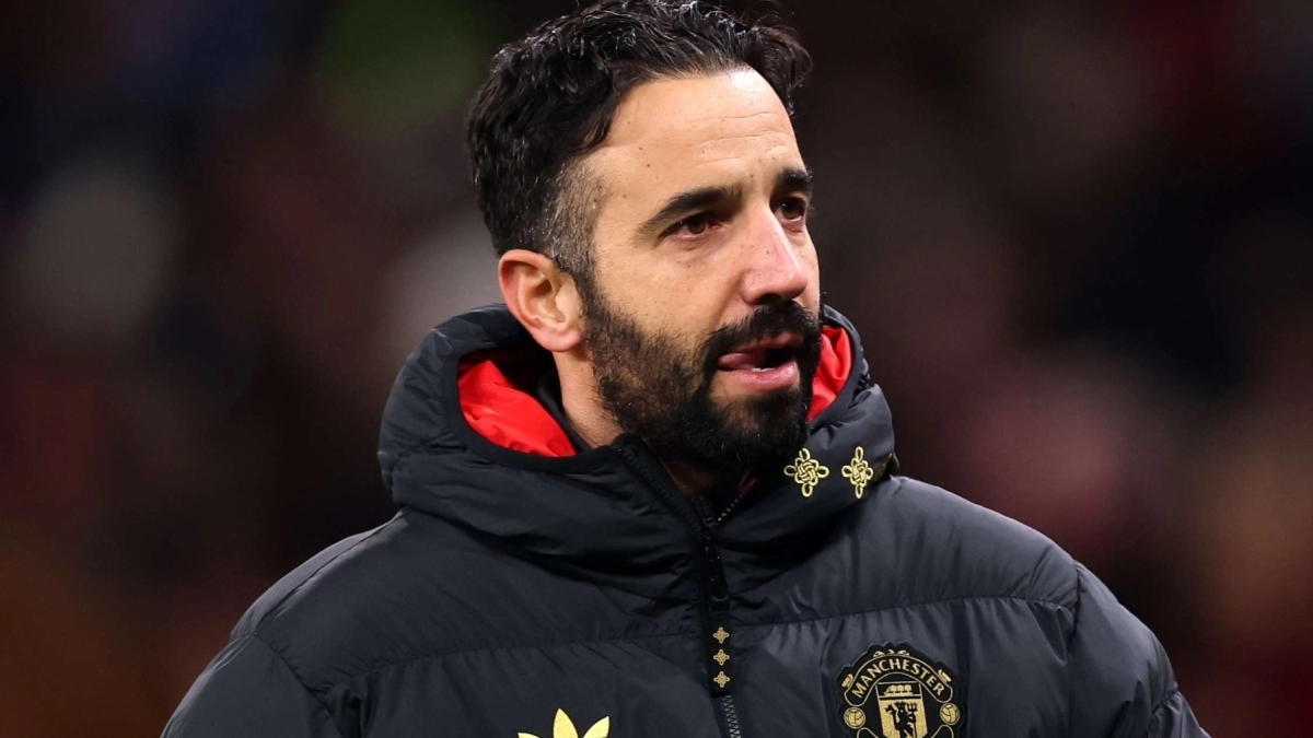 <p>Manchester United will not sign anyone in the winter transfer market</p>