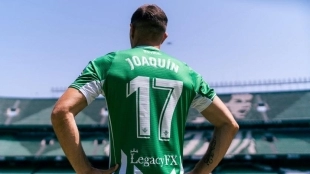 Joaquín podría acabar renovando con el Betis - Foto: Marca