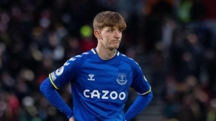 Los dos fichajes ofensivos que quiere hacer el Tottenham en invierno