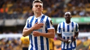 El Atlético de Madrid acelera para cerrar el fichaje de Trossard