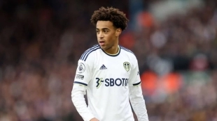 Tyler Adams, el tapado del Arsenal para su mediocampo