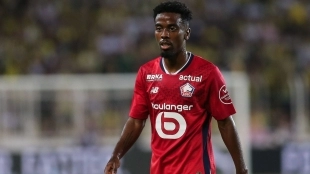 Angel Gomes has four teams that want to take him out of Lille / LiveScore