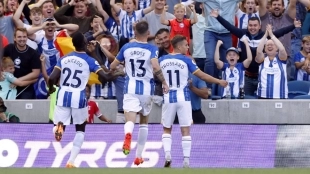 Los jugadores del Brighton celebran un gol