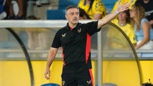 García Pimienta continues to request the signing of Sergio Roberto / Estadio Deportivo