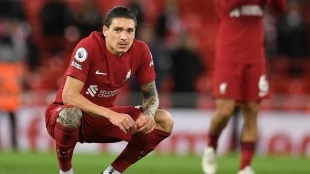 Liverpool wants Joao Pedro instead of Darwin Núñez / El Observador