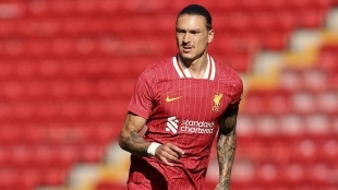 Liverpool receives a 60 million offer for Darwin Núñez | Transfermarkt