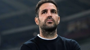 The new top suitor for Cesc Fabregas