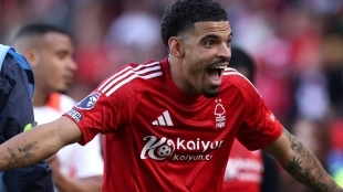 El Tottenham volverá a la carga por Morgan Gibbs-White