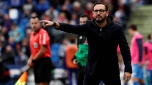 Bordalás en pleno partido con el Getafe CF