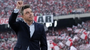 <p>Marcelo Gallardo, River Plate's coach</p>