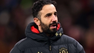 <p>Manchester United will not sign anyone in the winter transfer market</p>